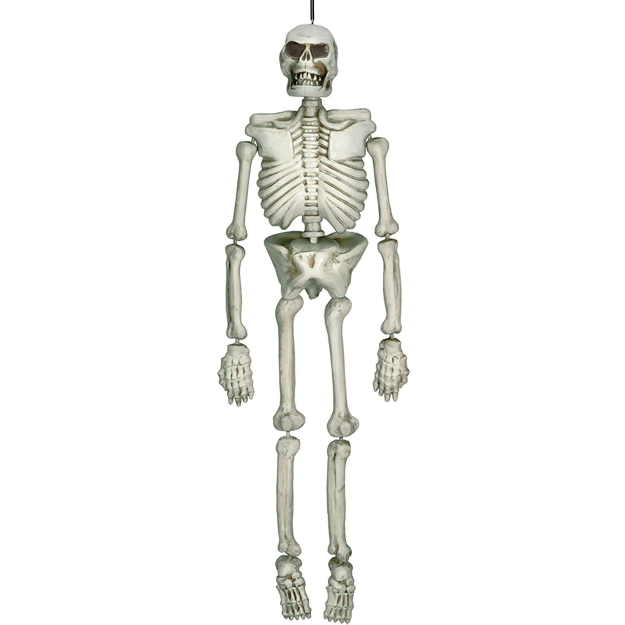 Life Size Hanging Skeleton*