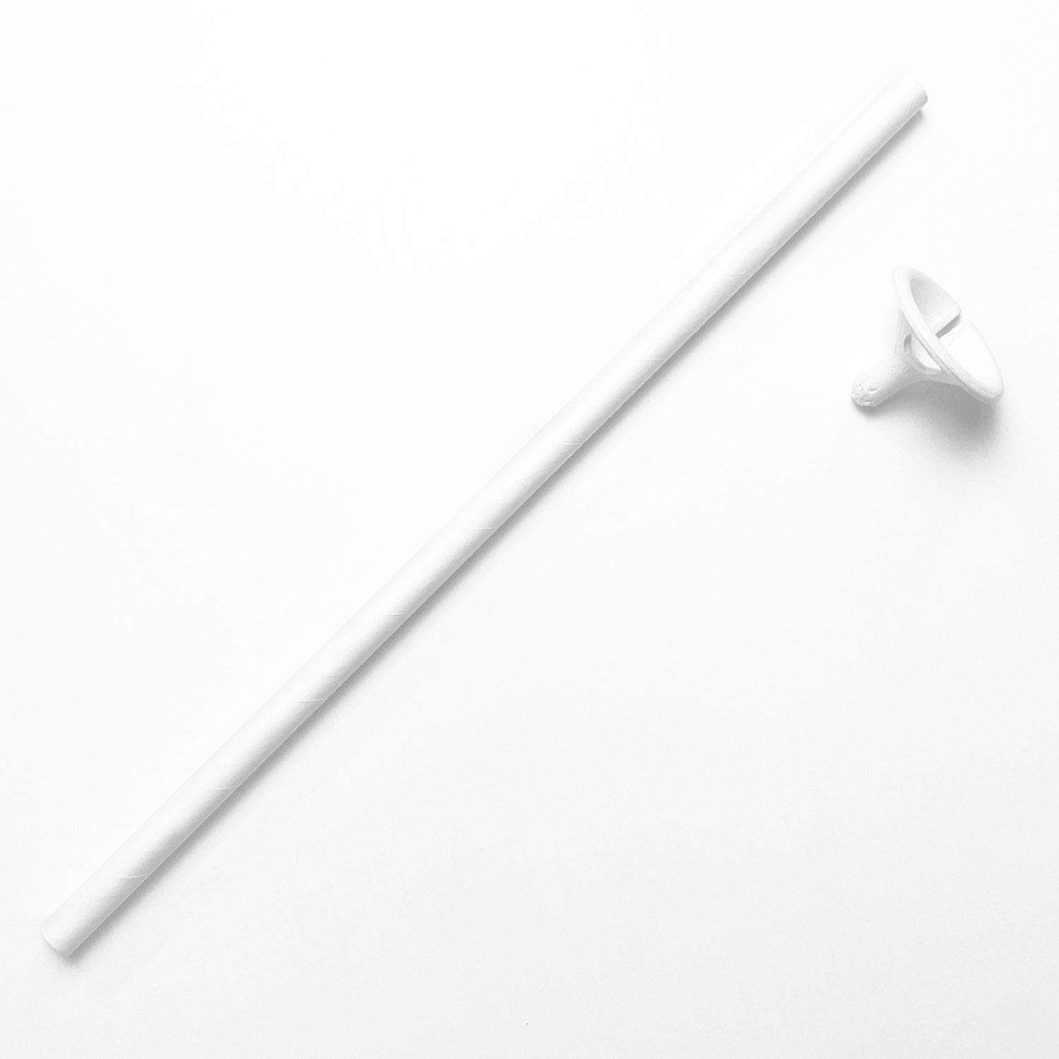 Paper Balloon Stick & Cup 30cm